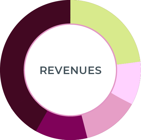 revenue.png