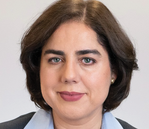 Image of Shadi Farshadfar